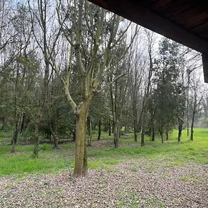  Appartement Woods Italie